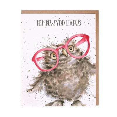Owl in glasses Welsh Birthday card