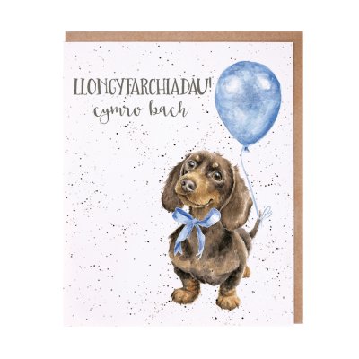 Dachshund with a blue bow and balloon Welsh new baby card