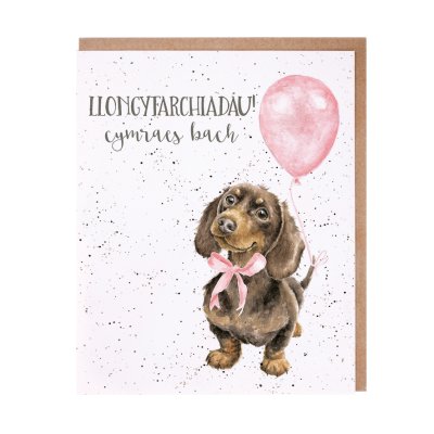 Dachshund with a pink bow and balloon Welsh new baby card