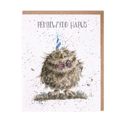 Owl in a party hat and bow tie Welsh Birthday card