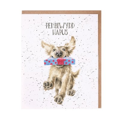 Golden Retriever with a present in its mouth Welsh Birthday card