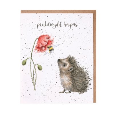 Hedgehog looking at a poppy and bee Welsh Birthday card