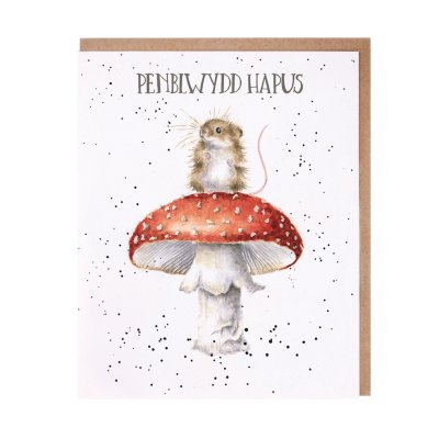 Mouse on a mushroom Welsh Birthday card