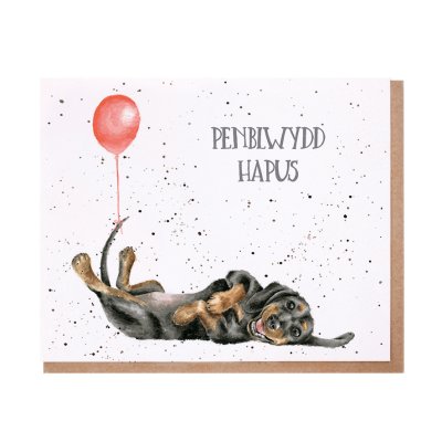 Dachshund with a balloon Welsh Birthday card