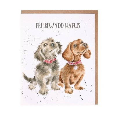 Dachshund occasion card with Welsh text