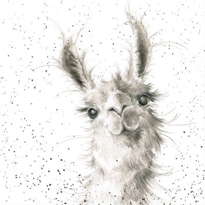 'Because I'm Worth It' llama artwork print