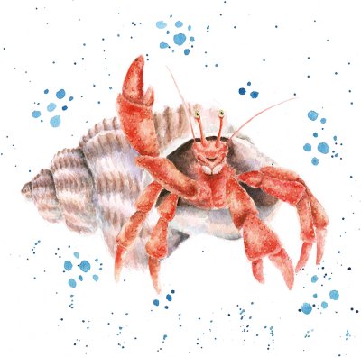 'The Happy Crab' artwork print