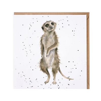 Meerkat greeting card